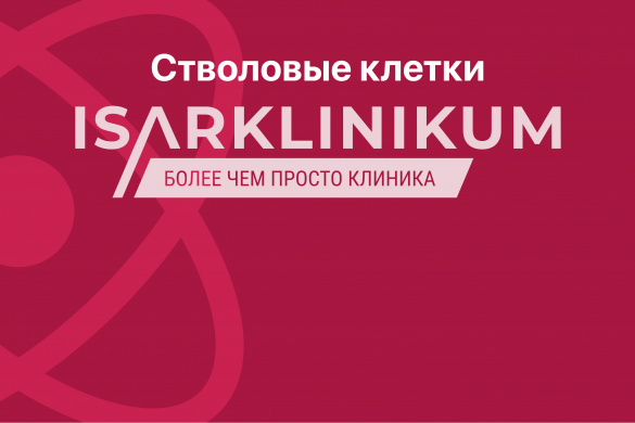 Стволовые клетки